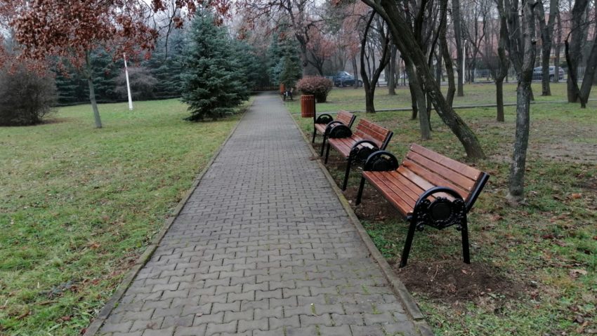 Musca la arat…, în parc…