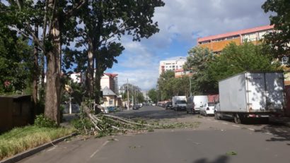 Cod galben de intensificări ale vântului, la București