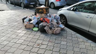 În plină vară Sectorul 1 riscă să rămână din nou cu gunoiul pe stradă!