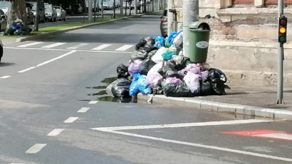 Gunoiul Bucureștiului se va depozita la EcoSud!