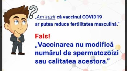 Vaccinarea împotriva COVID-19, fertilitatea, sarcina și alăptarea