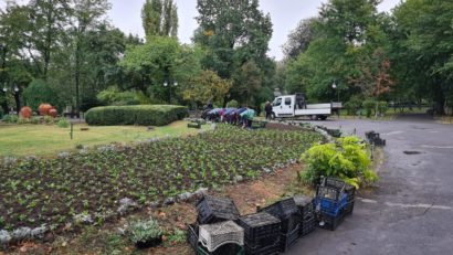 Continuă curățenia în Parcul Cișmigiu!