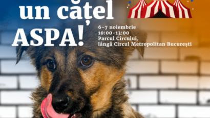 Bucureștenii pot adopta un cățel la târgurile de adopţii din Parcul Circului