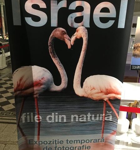 Israel, fotografii, expozitie, Antipa