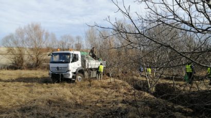 Acţiune de igienizare în Parcul Văcăreşti