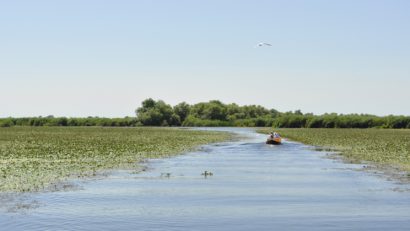 Punctele Gastronomice Locale îmbogățesc oferta de ecoturism în Delta Dunării