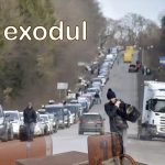 Afis-EXODUL-web