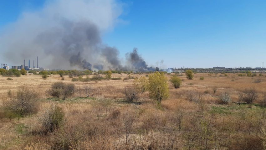 Incendiu de vegetatie in Parcul Natural Vacaresti