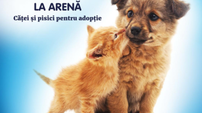 Ediție specială a târgului de adopții ASPA, pe Arena Națională