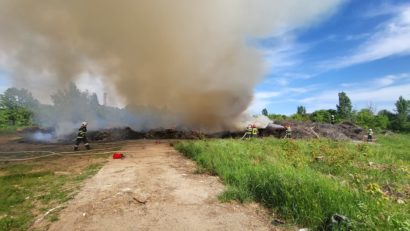 Incendiu de vegetație în Parcul Grozăvești