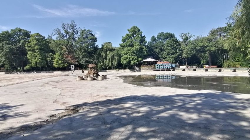 Au fost date primele amenzi pentru starea în care se află parcul Cismigiu