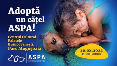 Târg de adopții ASPA în Parcul Mogoșoaia!