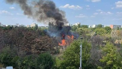 Incendiu în Parcul IOR din Capitală