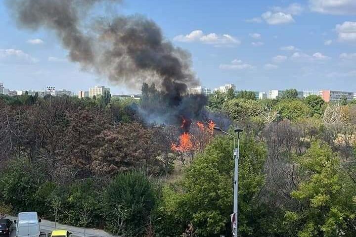 Incendiu în Parcul IOR din Capitală