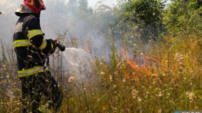 Incendiu în parcul IOR din Capitală!