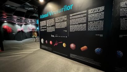 „Atlasul Virusurilor” – expoziție 3D care explorează universul virusurilor, la Art Safari!