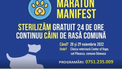 Maraton manifest, in Ilfov. Sterilizare caini fara stapan