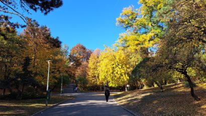 Vremea se încălzește, în București