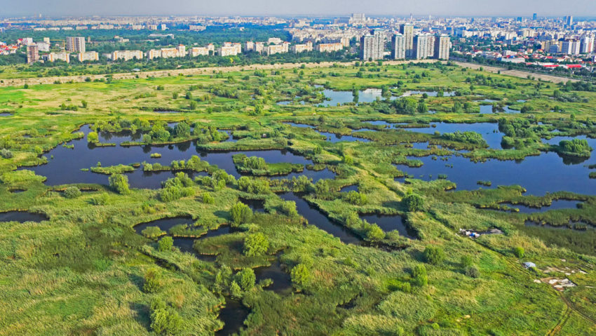 Ministerul Mediului a aprobat regulamentul Parcului Natural Văcăreşti