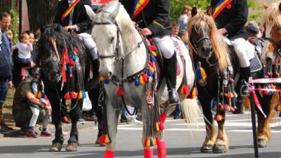 Tradiția creșterii cailor de rasă lipițană este în patrimoniul UNESCO