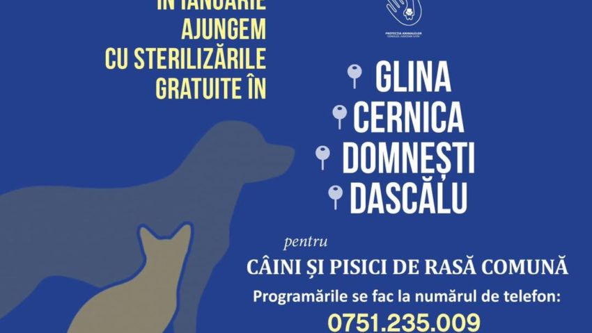 Campanie de sterilizări gratuite pentru câini şi pisici de rasă comună în patru localităţi din Ilfov