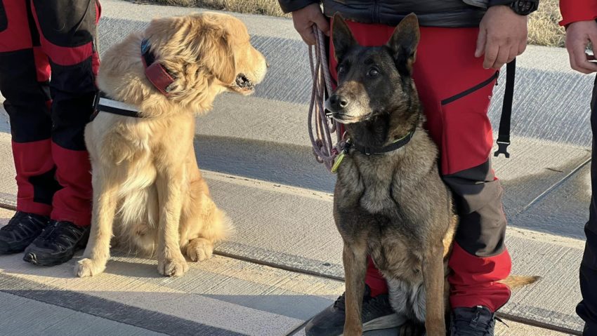 Cea de a doua echipă de sprijin care a intervenit în urma cutremurului din Republica Turcia a ajuns în țară