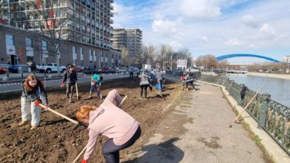 Se plantează copaci pe malul Râului Dâmbovița 