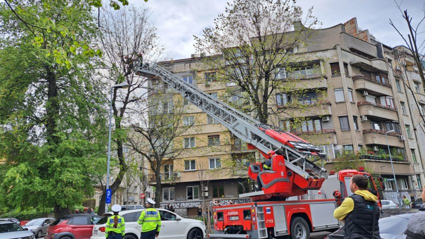 FOTO: Salvare inedită în București