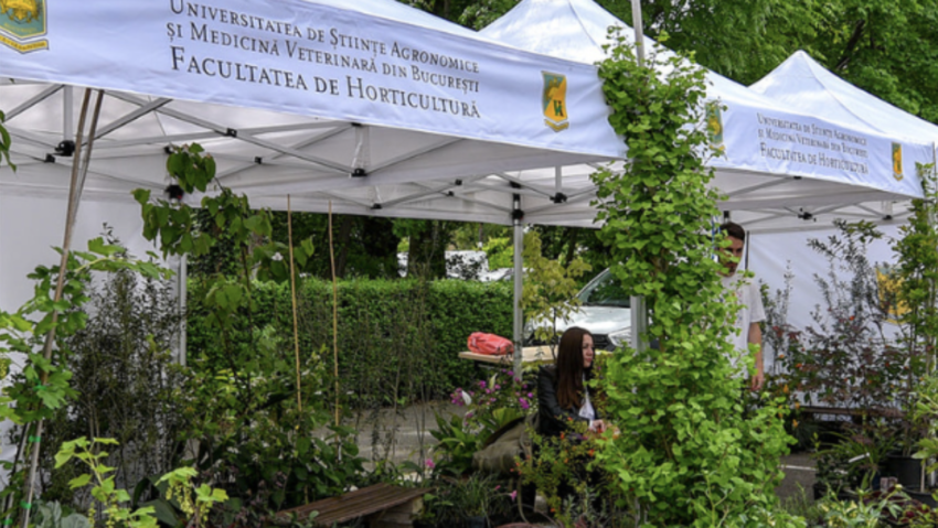 Zilele Horticulturii Bucureștene, la Universitatea de Ştiinţe Agronomice din Bucureşti