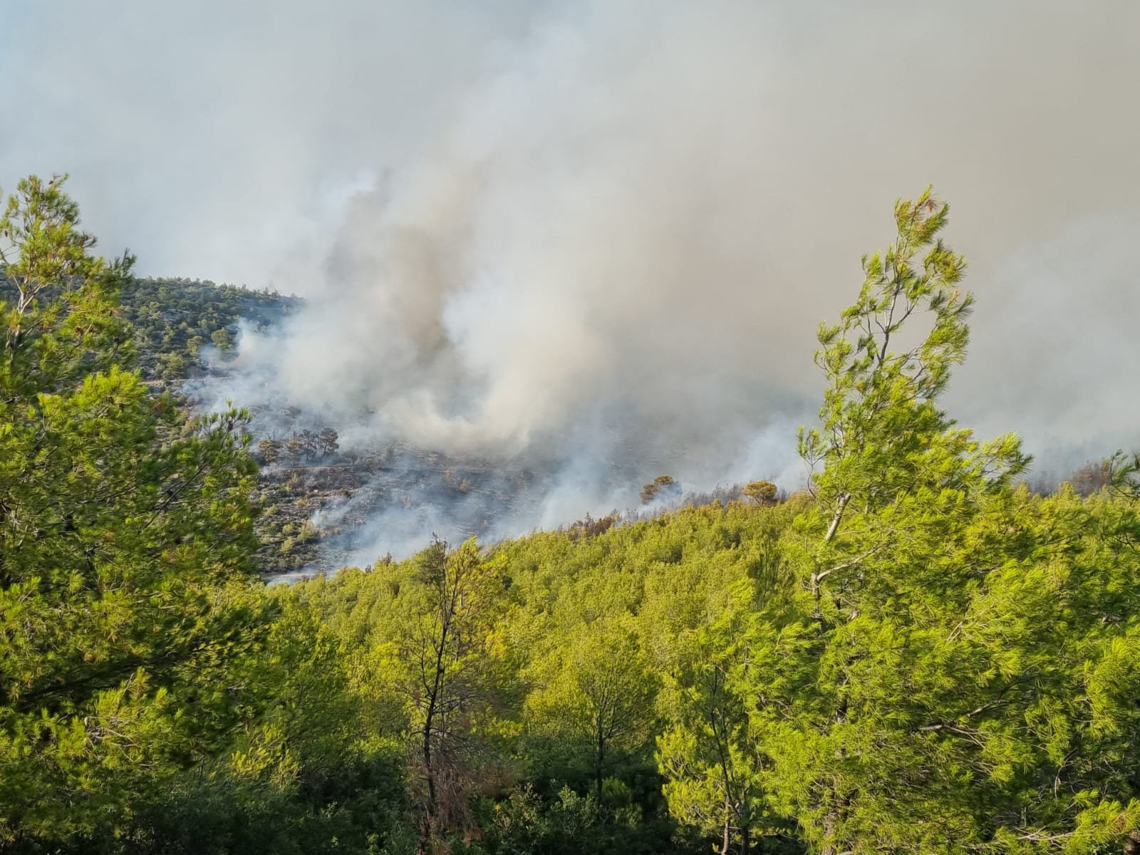 Misiunile modulului național de stins incendii de pădure continuă în Grecia