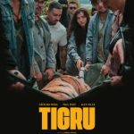 Tigru – Copy