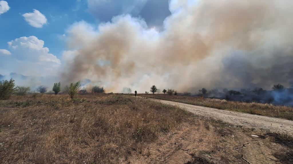 Trafic blocat pe autostrada A2 Bucureşti-Constanţa, din cauza unui incendiu de vegetaţie