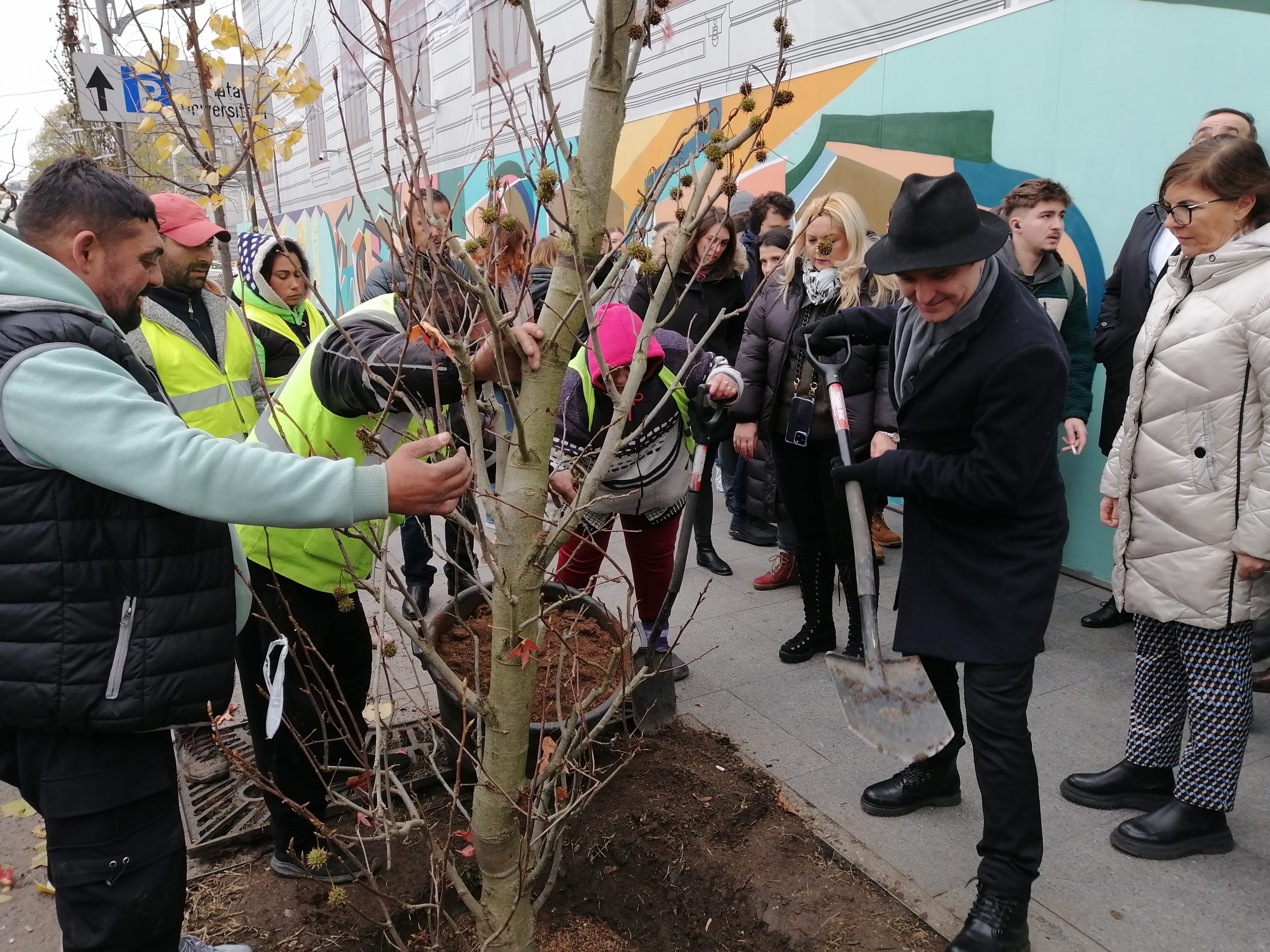 Primăria Capitalei plantează 280 de copaci, iarna!