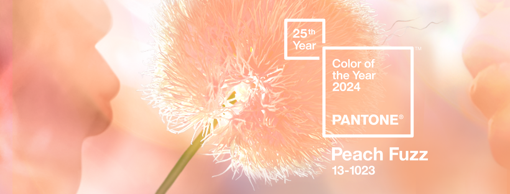 Institutul Pantone: Peach Fuzz este culoarea anului 2024!