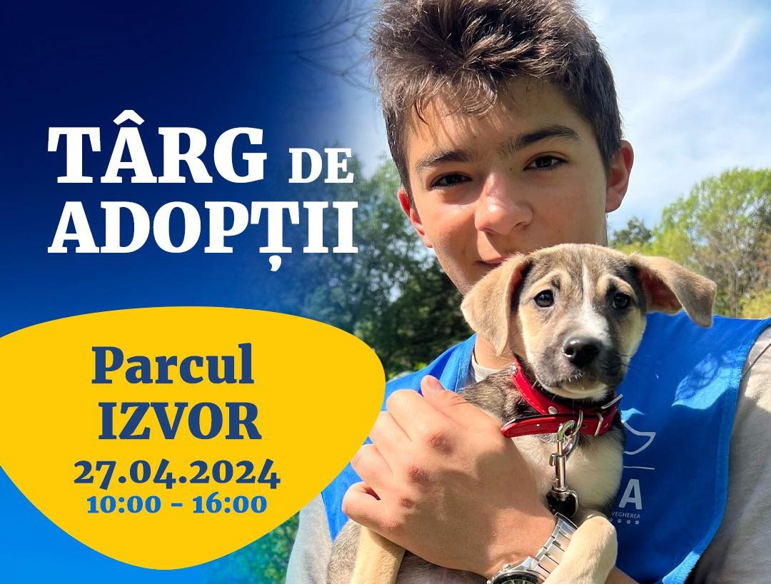 Un nou târg de adopții pentru căței în București