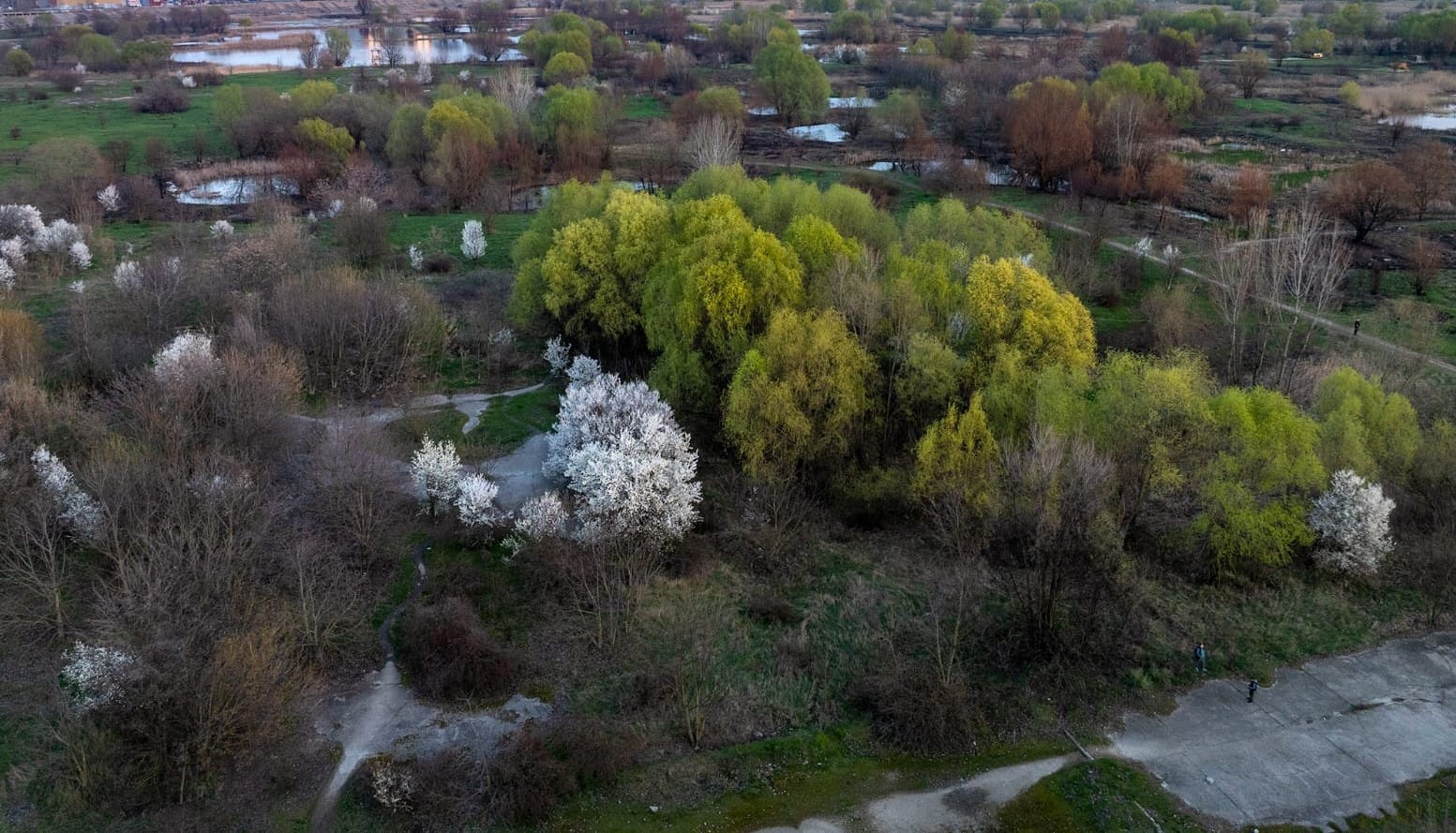 Eveniment de ecologizare în Parcul Natural Văcărești! 