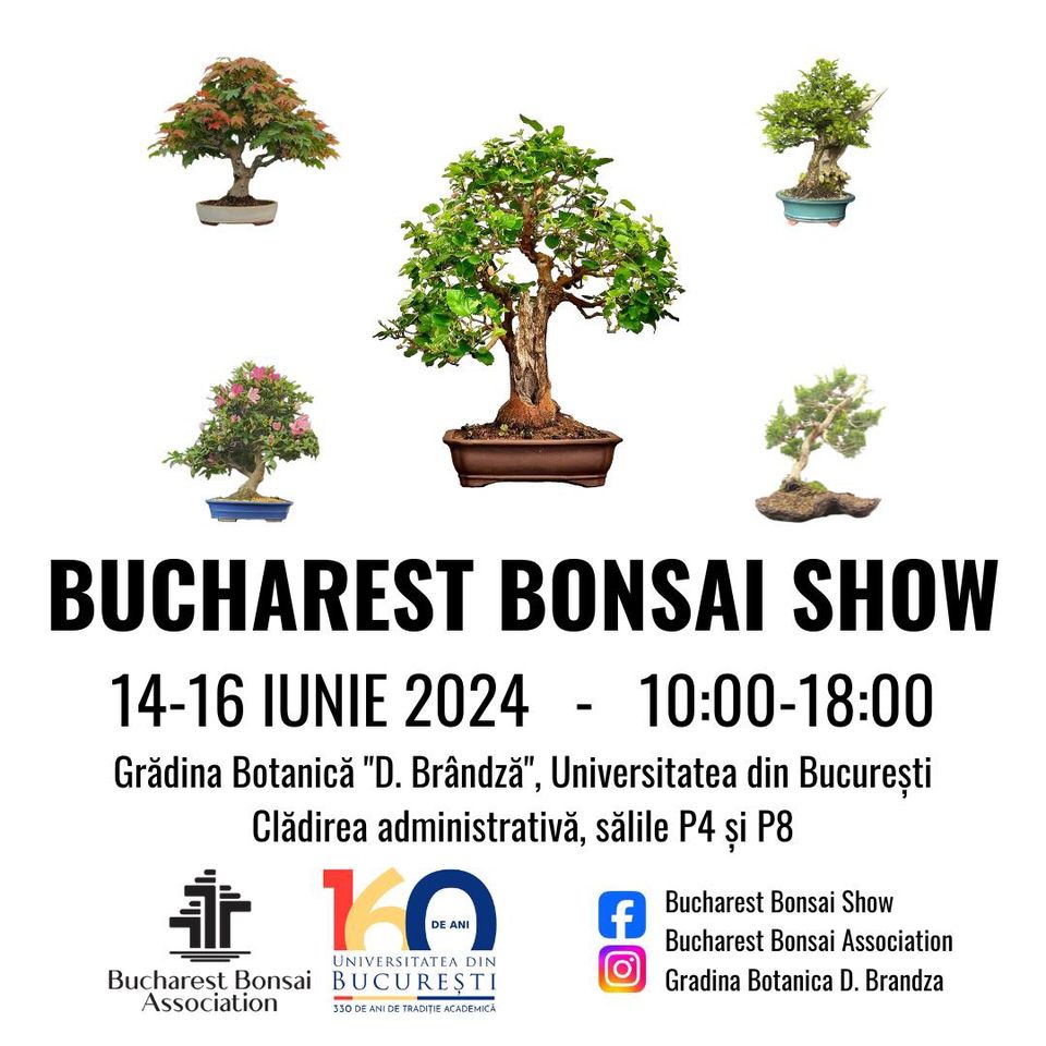 Bucharest Bonsai Show, in luna iunie, la Bucuresti!