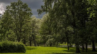 Păduri urbane în sectorul 1!