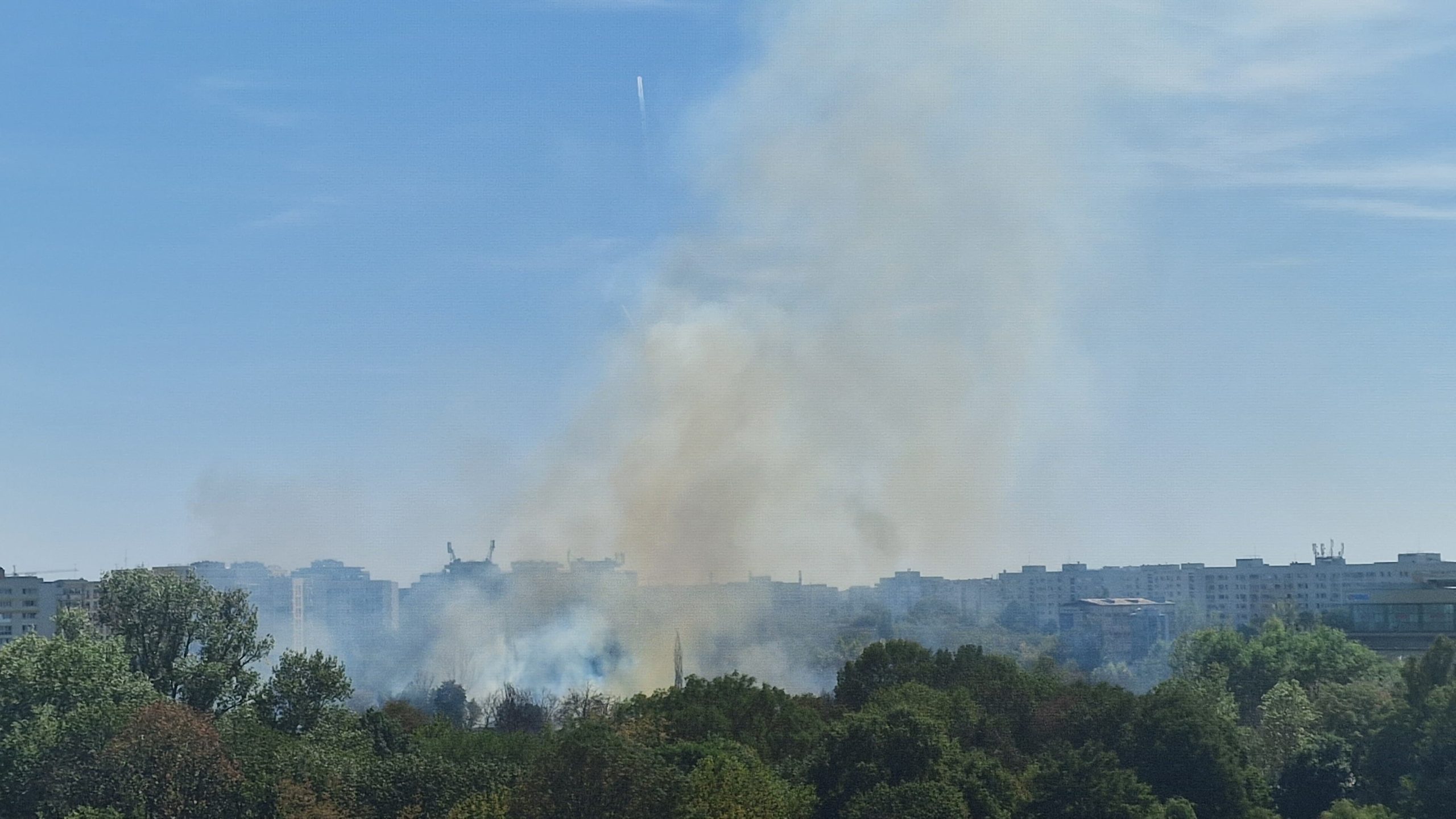 Foto&Video: Incendiu de vegetaţie în parcul IOR din Capitală