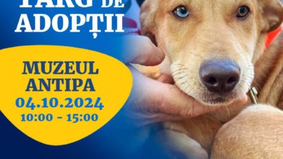 Târg de adopții la Muzeul „Grigore Antipa”, cu ocazia Zilei Internaționale a Animalelor fără Stăpân