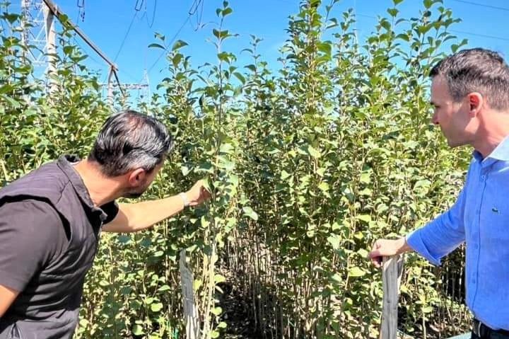 Plantări de toamnă în Sectorul 3