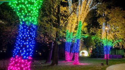 „Frumoasa și Bestia”, temă pusă ‘in lumină’, in Grădina Botanică