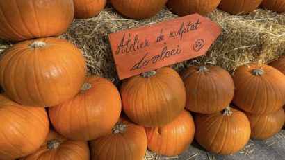 „Titan Pumpkin Fest” – festival de sculptat dovleci în Parcul Titan