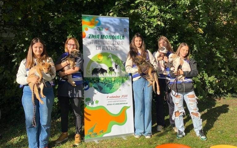 Târg de adopții, de Ziua Mondială a Animalelor, la Muzeul Antipa din București