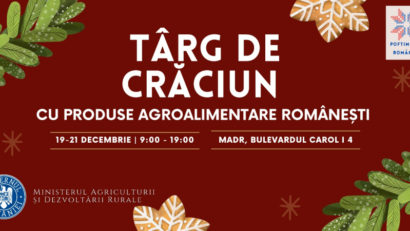 Târg de Crăciun în curtea Ministerului Agriculturii