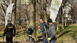 Peste 50 de arbori tineri, din 14 specii, plantaţi în Parcul Circului