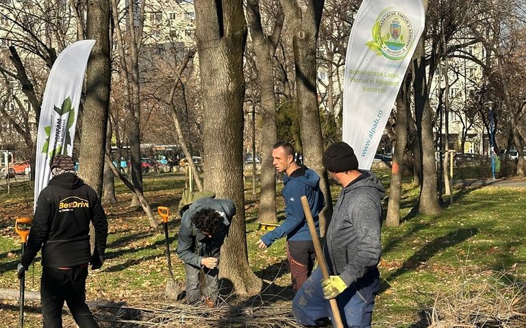 Peste 50 de arbori tineri, din 14 specii, plantaţi în Parcul Circului